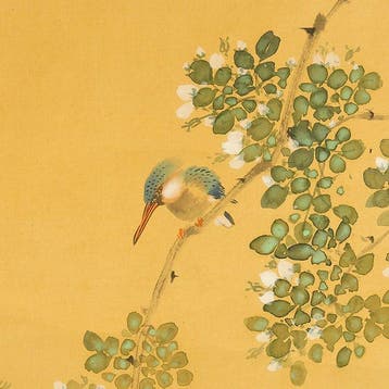 Kingfisher Perched on Tree, Targeting Fish - with signature