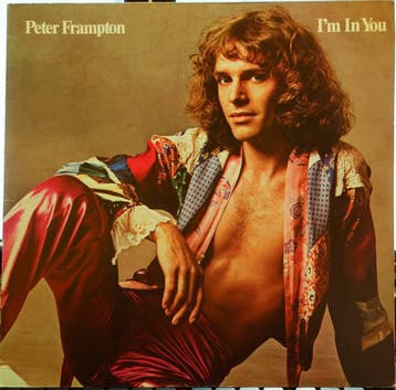 Peter Frampton - Im In You, Ophalen of Verzenden, Gebruikt