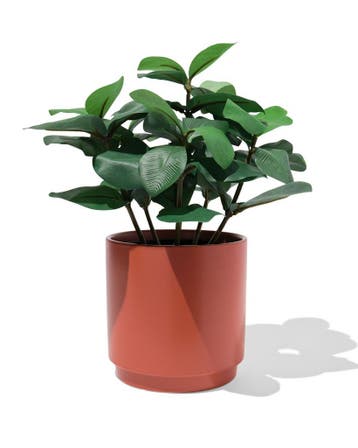 HEMA Bloempot 15x15cm oranje van €4.99 voor €4 sale, Verzenden