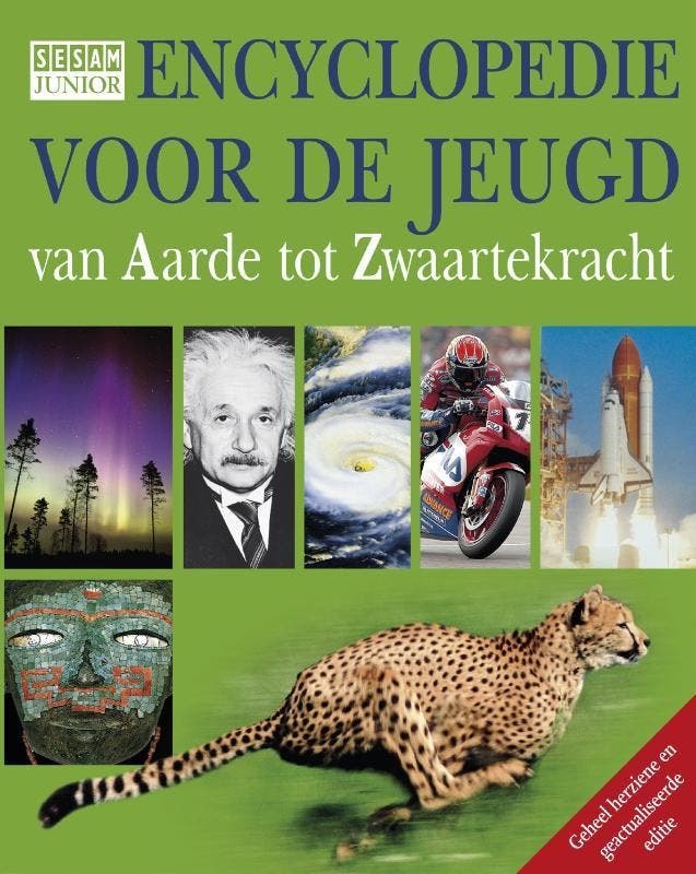 Encyclopedie voor de jeugd / Sesam junior 9789026129209, Boeken, Kinderboeken | Jeugd | 10 tot 12 jaar, Gelezen, Verzenden