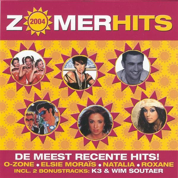 Various - ZomerHits 2004, Cd's en Dvd's, Cd's | Pop, Gebruikt, Ophalen of Verzenden