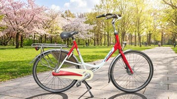 Gazelle Blom D Nexus 7 Handrem NAAFDYNAMO Rood / Wit Dames, Fietsen en Brommers, Fietsen | Dames | Damesfietsen, Ophalen, Gebruikt