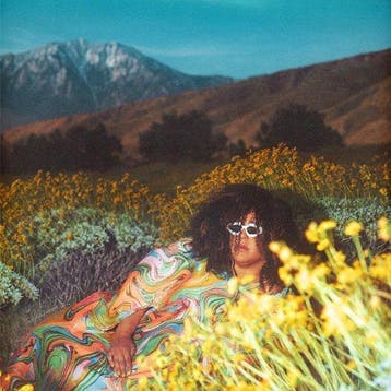 Brittany Howard - What Now (LP), Verzenden, Nieuw in verpakking