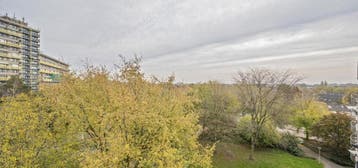 Te huur: Appartement Dokter van Stratenweg in Gorinchem, Gorinchem, Appartement, Zuid-Holland