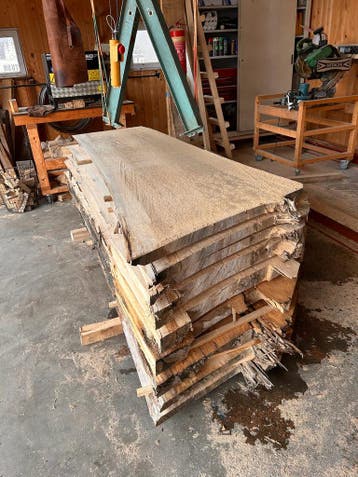 9X Boomstambladen, complete partij 490,- REF 799, Nieuw, Ophalen of Verzenden, 200 tot 250 cm, 50 mm of meer