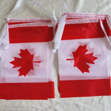 Canadese Vlaggenlijn 20 Stuks - 14x21cm Vlaggen aan één Touw, Verzenden, Nieuw
