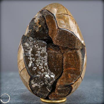 Natuurlijke septarische drusen in ei-vorm – Krachtige, Antiek en Kunst