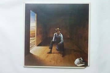 Don McLean - Homeless Brother (LP), Cd's en Dvd's, Ophalen of Verzenden, Zo goed als nieuw