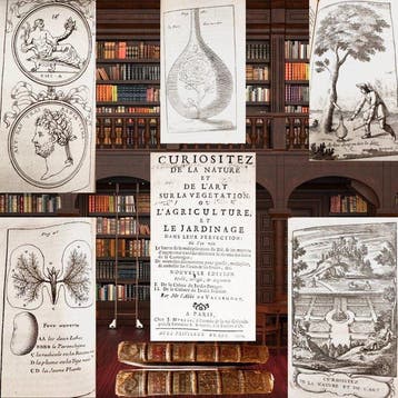 Vallemont, Pierre Le Lorrain - Curiositez de la nature et de