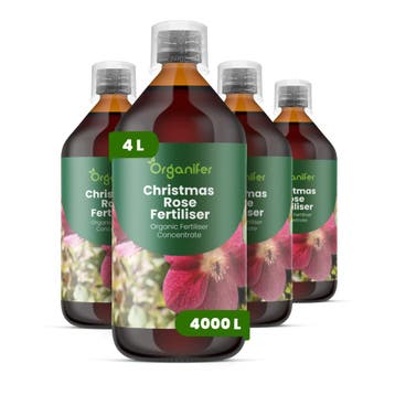 Kerstroos Vloeibare meststof - 4x1 liter, Verzenden, Mest