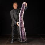 Uitzonderlijke amethistkathedraal - Natuurlijke Vorming -, Verzamelen