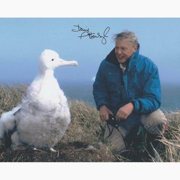 TV and Documentary Legend - Signed by Sir David Attenborough, Nieuw