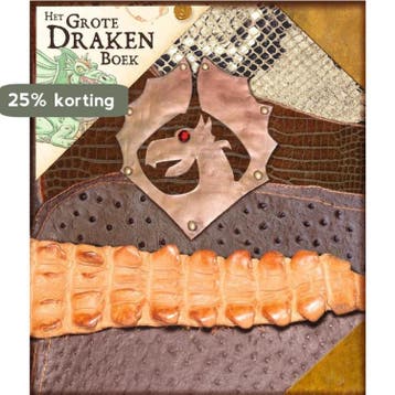 Het grote drakenboek / Flin & Flo - Gert Verhulst, Boeken, Verzenden, Gelezen, Gert Verhulst