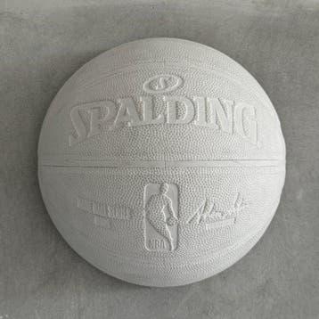 Mitch Richmond (1983) - Slam Dunk Through The Wall (Wall