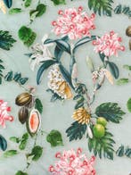 PRIMAVERA ESOTICA - Fascinerend fluweel in beperkte editie -