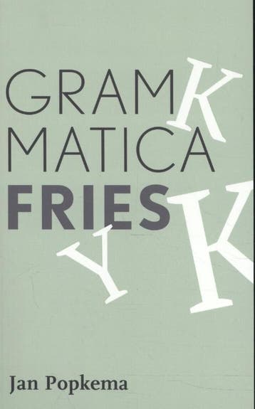 Grammatica Fries 9789492176820, Zo goed als nieuw