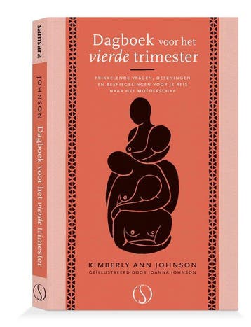 9789493228993 Dagboek voor het vierde trimester, Verzenden, Nieuw, Kimberley Ann Johnson
