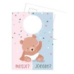 Kaart Jongen / Meisje? (A6 wenskaarten, Kaarten), Ophalen of Verzenden, Nieuw