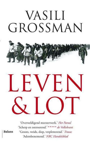 Leven en lot - Vasili Grossman 9789460034978, Boeken, Verzenden, Gelezen, Vasili Grossman
