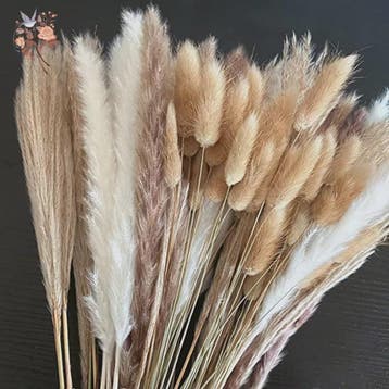 Natuurlijk Pampas Gras Boeket - Gedroogde Bloemen voor Boho, Huis en Inrichting, Verzenden, Nieuw