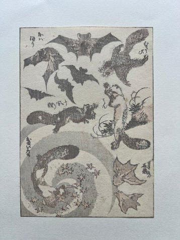 Flying Squirrel & bats -  Hokusai (1815) manga sketches