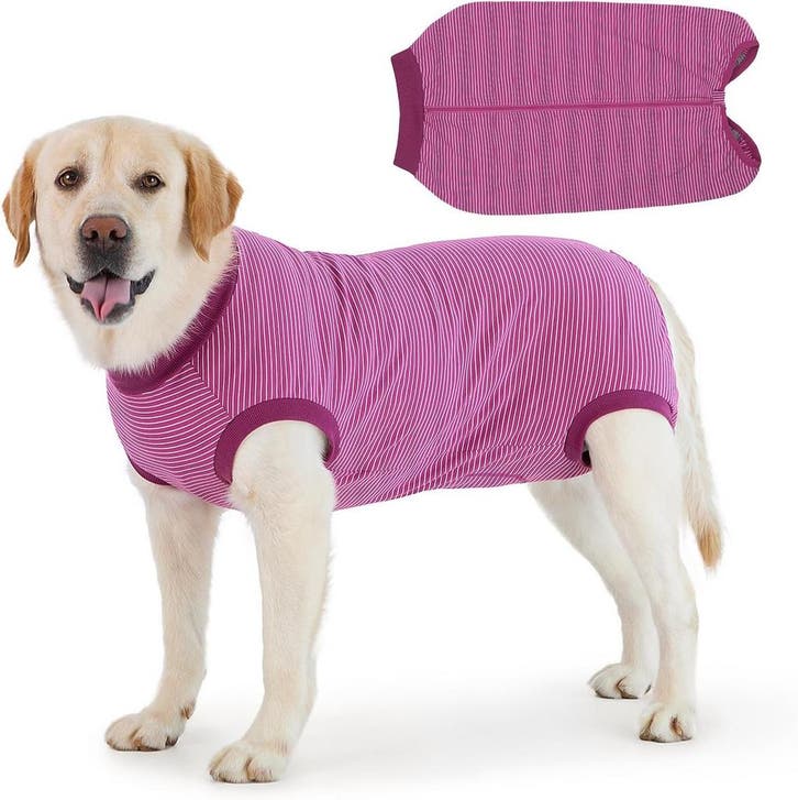 Cyponpy hondenshirt medisch | Fuchsia | 32% Korting, Dieren en Toebehoren, Hondenkleding, Overige hondenkleding, Zo goed als nieuw
