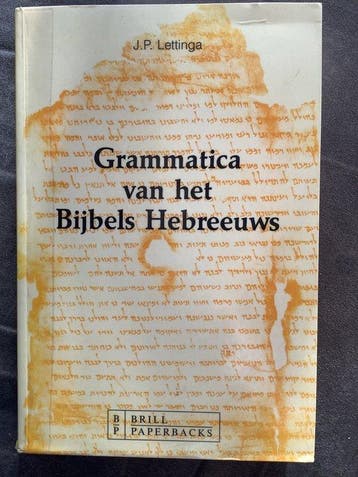 Grammatica van het bybels hebreeuws - Lettinga 9789004095649, Verzenden, Gelezen, Lettinga