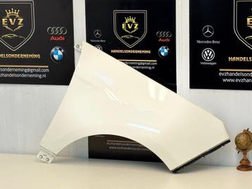 Ford Ecosport bj2015 spatbord/zijscherm rechts Diamond White, Auto-onderdelen, Gebruikt, Voor, Ford, Spatbord