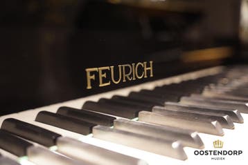 Feurich 190 PE messing vleugel, Zo goed als nieuw, Bruin, Vleugel