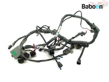 Kabelboom Triumph TT 600 2000-2005 (TT600), Motoren, Verzenden, Gebruikt