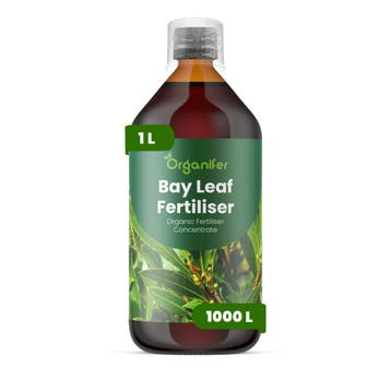 Laurierblad Vloeibare Meststof - 1 Liter, Verzenden, Mest