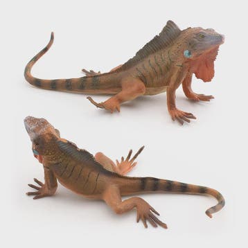 Realistische Reptielen Speelgoedset: Kameleon, Leguaan, Baar, Dieren en Toebehoren