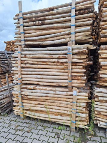 AANBIEDING – Kastanje palen 2,00 m ø6/8 cm, Tuin en Terras, Ophalen of Verzenden, Nieuw, 180 tot 250 cm, Palen