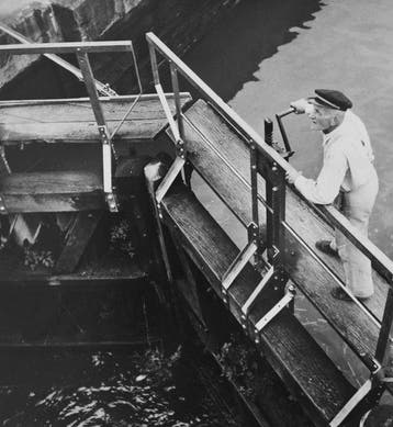 Jean Ribiere (1922 - 1986) - Léclusier - Trèbes - 1956