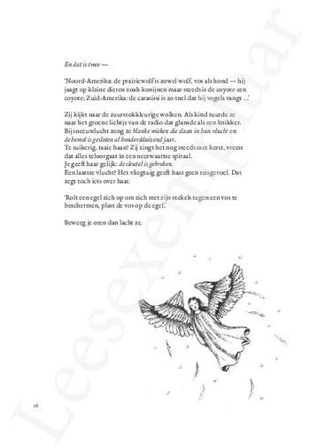 Roodvos 9789463838078 Peter Holvoet-Hanssen, Verzenden, Zo goed als nieuw, Peter Holvoet-Hanssen