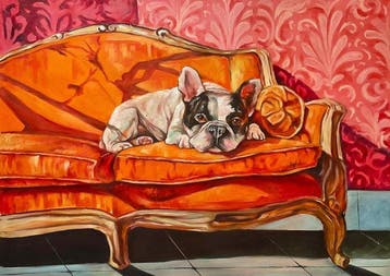 Camilo - La Siesta del Bulldog