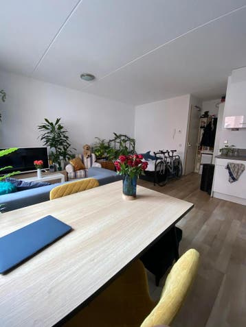 Studio in Groningen