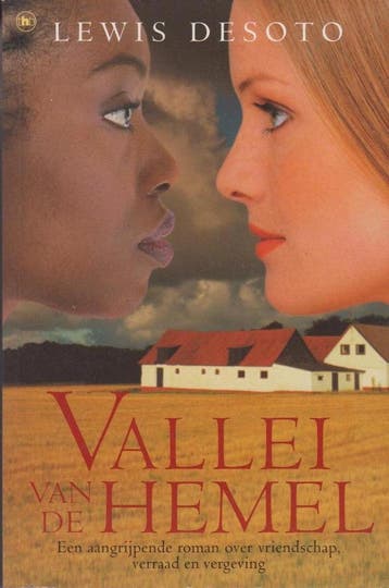 Vallei van de hemel - Lewis Desoto 9789085197768, Verzenden, Gelezen, Lewis Desoto