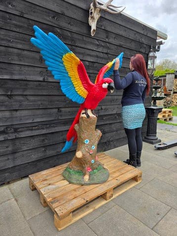 Beeld, XXL Parrot - 157 cm - Hars - 2026