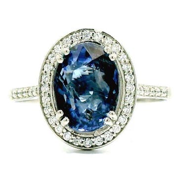 Ring Platina - 3.16ct. tw. Saffier - Diamant - Onverwarmde, Nieuw