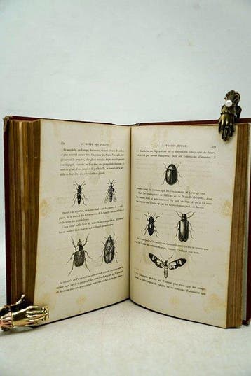 S. Henry Berthoud / Yan Dargent - Le Monde des Insectes -