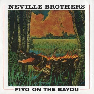 cd - Neville Brothers - Fiyo On The Bayou, Verzenden, Zo goed als nieuw