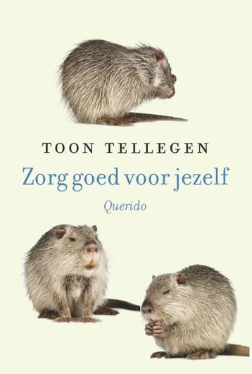 Zorg goed voor jezelf - Toon Tellegen 9789021400921, Boeken, Romans, Verzenden, Gelezen, Toon Tellegen