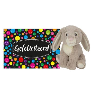 Konijn knuffel cadeau - pluche - 19 cm - gefeliciteerd, Verzenden, Nieuw