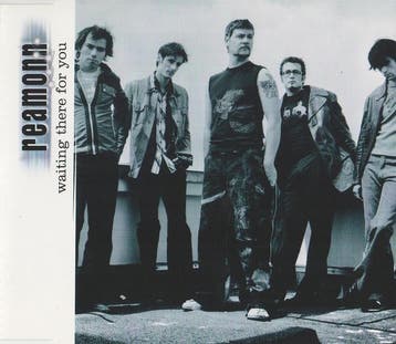 cd single - Reamonn - Waiting There For You, Cd's en Dvd's, Verzenden, Zo goed als nieuw, Pop