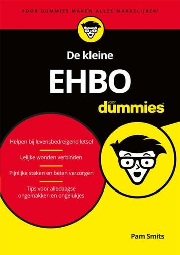 De kleine EHBO voor Dummies 9789045355559, Boeken, Zo goed als nieuw