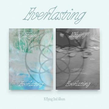 Cds en Dvds,Cds   Overige Cds - N.flying - Everlastin..., Verzenden, Zo goed als nieuw
