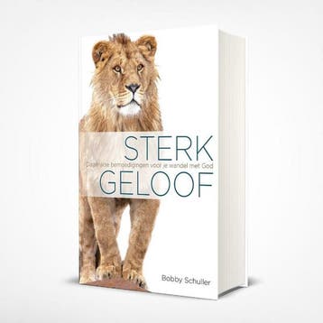 Sterk geloof - Bobby Schuller 9789493206182, Verzenden, Zo goed als nieuw, Bobby Schuller
