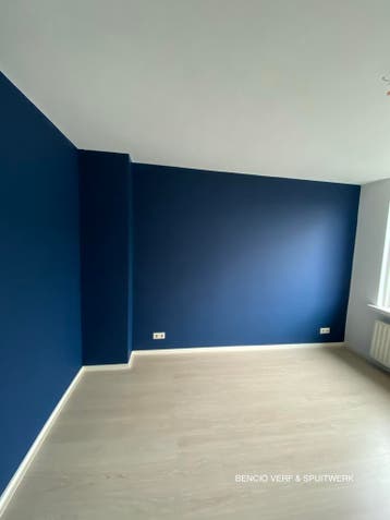 Professioneel schilder- en spuitwerk op maat, Doe-het-zelf en Verbouw, Schildersmaterialen, Nieuw