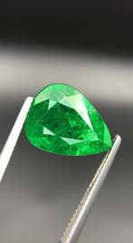 1 pcs Groen Smaragd - 7.10 ct - nternational Colored, Nieuw